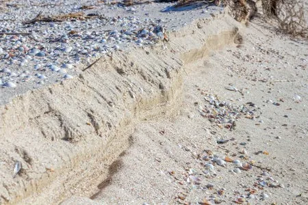 Erosión y Sedimentación