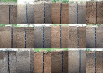 Clasificación del Suelo